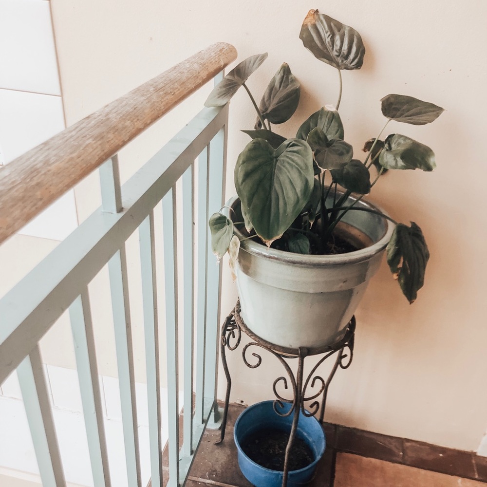 Meet your Posher, Oscar